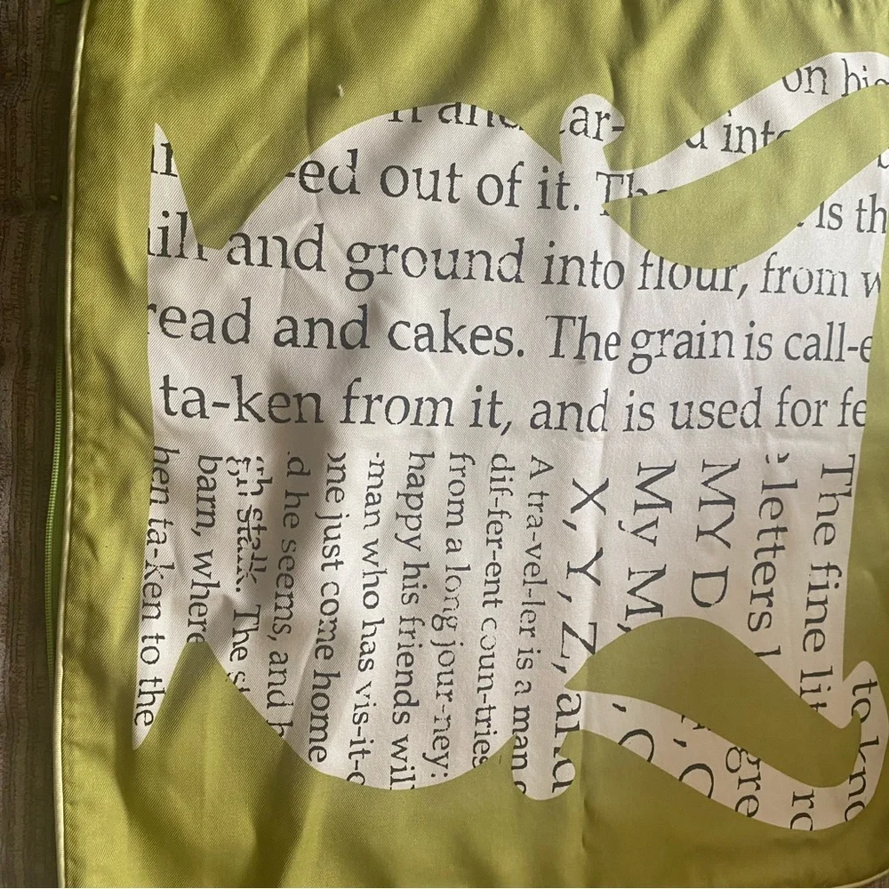 West Elm elegant pillow